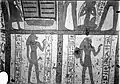 Detail of the west wall from the burial chamber of the tomb of Neferabet (TT 5). The funerary deity Qebekhsenuf is visible on the left and the funerary deity Duamutef, on the right.