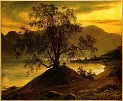 Old Birch Tree at the Sognefjord