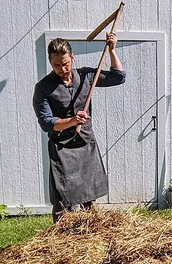 Flail being used for threshing