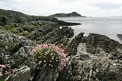 Thrift, Craignish Point