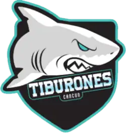 Team logo