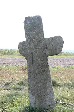 Tokary stone cross 2014