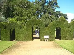Topiary archways
