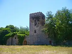 The ancient tower of Torretta[8]