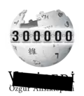 300 000 articles on the Turkish Wikipedia (2017)