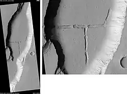 Tractus Catena Floor, as seen by HiRISE. Scale bar is 500&nbsp;m (1,600&nbsp;ft) long.
