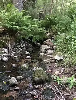 Tupalabäcken creek in Siuntio