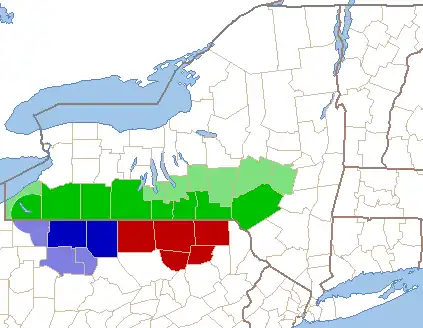 Counties in dark green are almost always considered part of the Southern Tier. Counties in dark red indicate the Northern Tier.