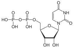 Skeletal formula of uridine diphosphate
