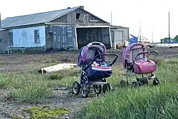 Vankarem, still life