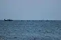 A view of fishing boats from the beach