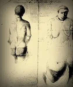 Sketchbook illustrations with three views of the same tattooed woman. To the left, we can see the back of a woman with closely shaven hair. She has geometric tattoo designs on her buttocks, and they go around her hips. On the top right, there is a facing sketch of the same woman, shirtless. Below this is a front-on sketch of her pubic area, showing tattooed mons pubis and surrounding area.