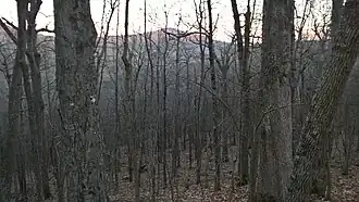 North Creek (conservation area) Fall 2019