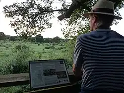 Viewing platform at Knepp Wildland