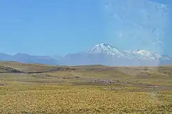 A snow covered mountain rises in the background above a yellow-green steppe