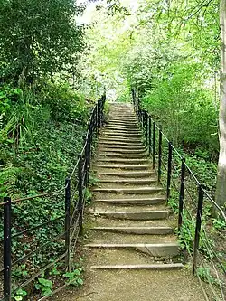 Steps running down to the River Kelvin