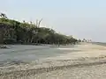 White Sand Beach of Bakkhali