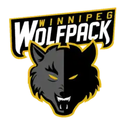 Team logo