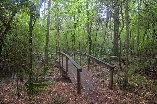 Winters Bayou Scenic Aera near the southeast end of the Trail