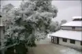 Magnificent snow fall in APS