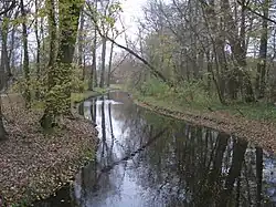 Wrześnica flowing through the park