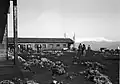 Opening of dining hall with Mount Hermon in distance, 1948