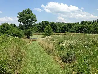 A photo of a trail going through a meadow towards a pond
