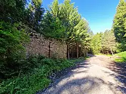 Přibyslavice ruins, 2024