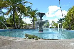 Large iguana standing on ledge of circular fountain