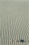 Wind ripples with dislocations in Sistan, Afghanistan