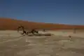 General view of Dead Vlei