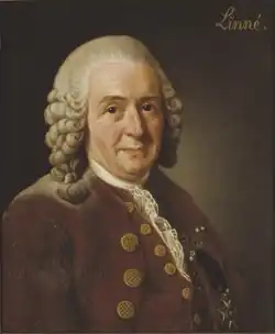 Portrait of Linnaeus on a brown background with the word "Linne" in the top right corner